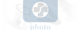 Drive Medical