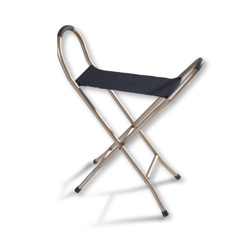Eze-Rest Portable Folding Seat Cane