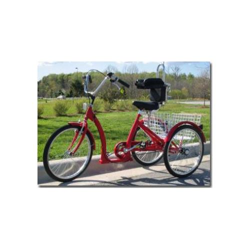 2700 Series Single Speed Adult AmTryke