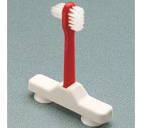 Denture Brush with Suction Cups