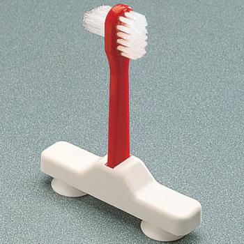 Denture Brush with Suction Cups