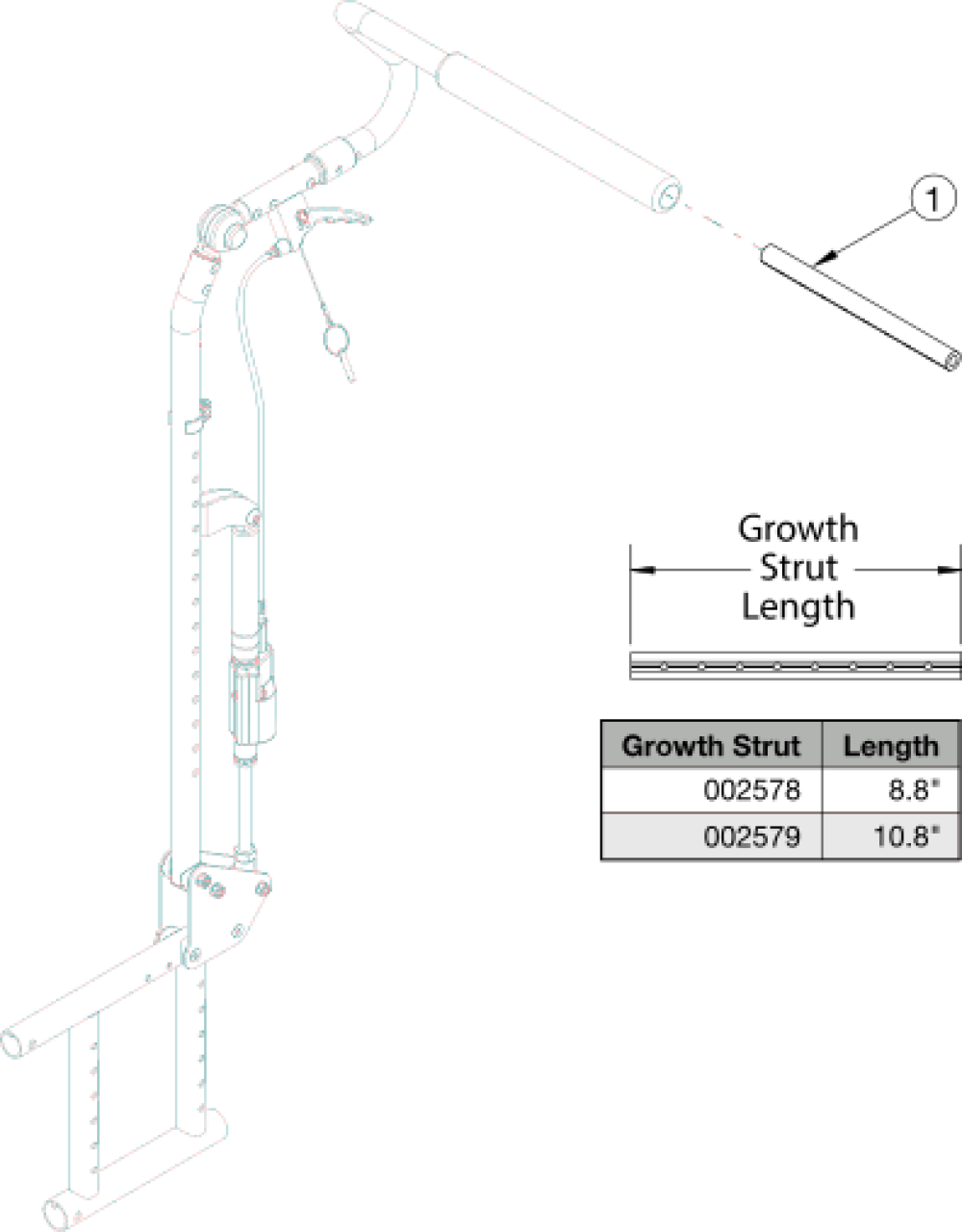 Growth Strut - Growth parts diagram