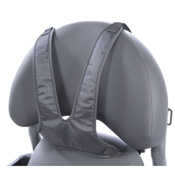 Shown on Evolv Backrest