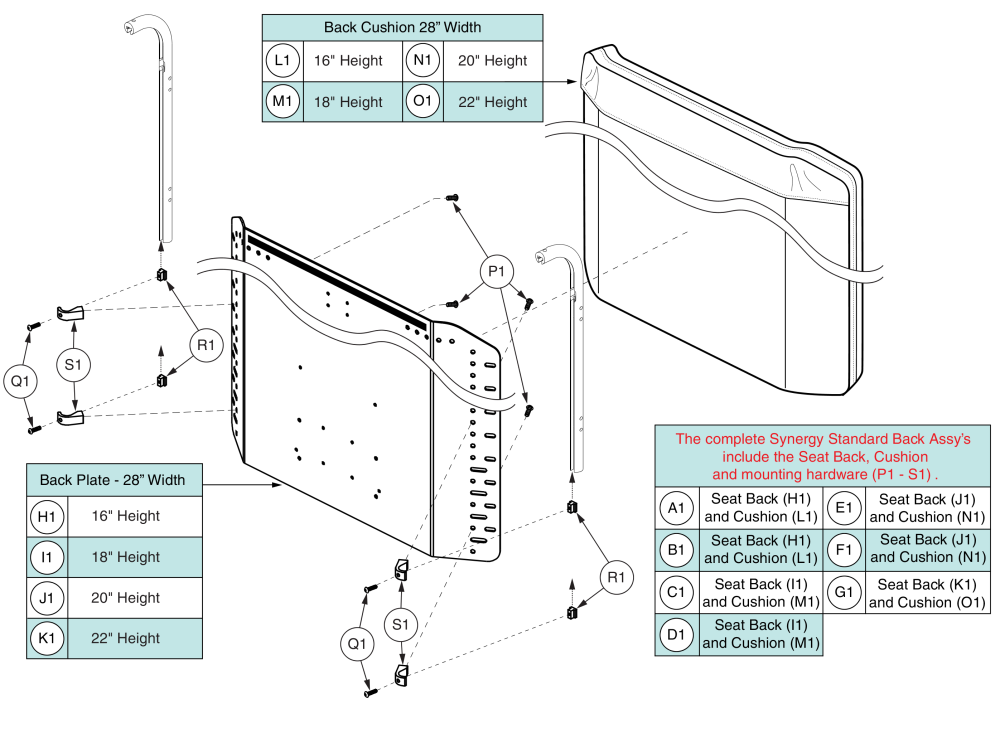 Standard Back - 28