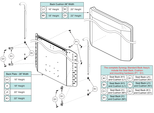 Standard Back - 28