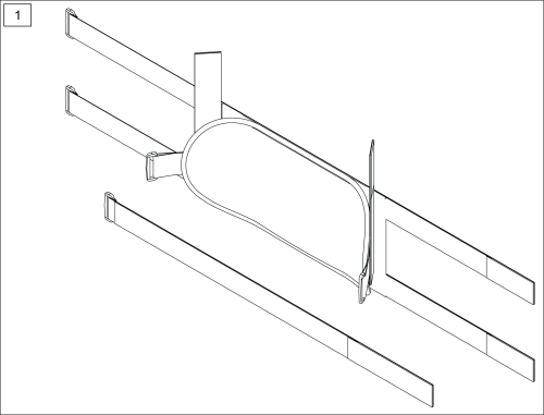 Scoli Strap parts diagram
