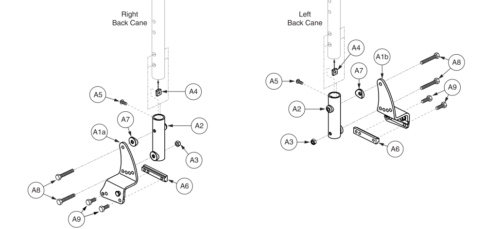 Endomorph Bracket - 2