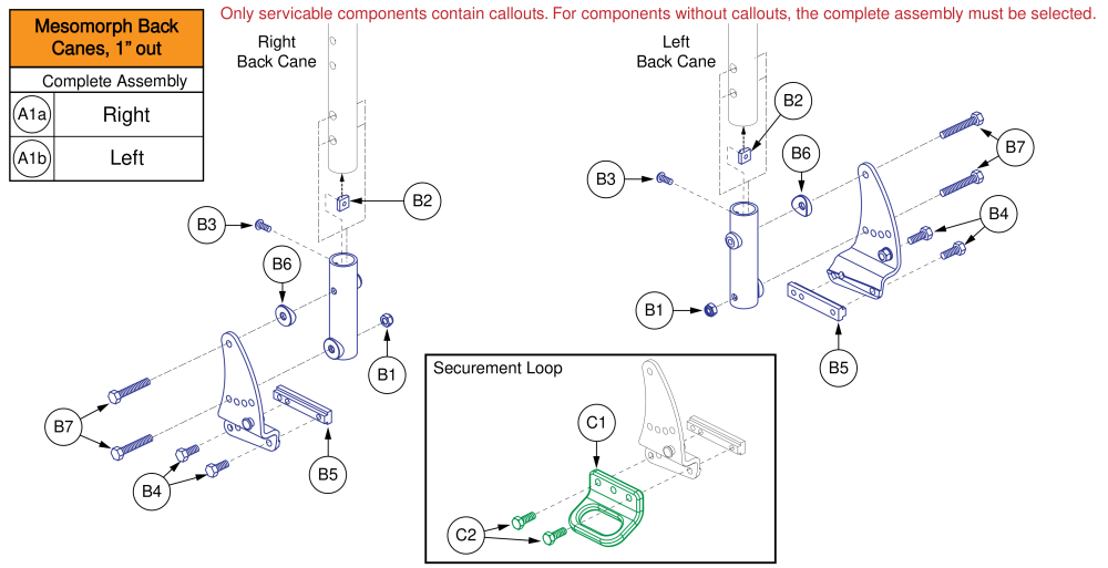 Mesomorph Back Cane Bracket - 1