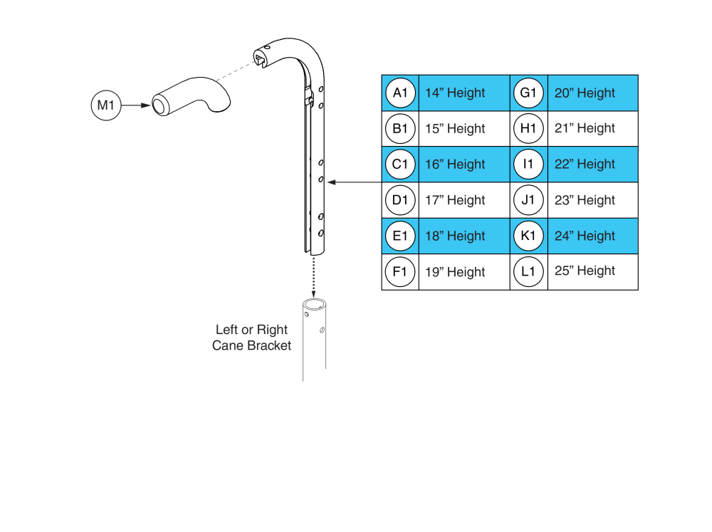 Back Cane Extrusion W/ Short Push Handles, 14