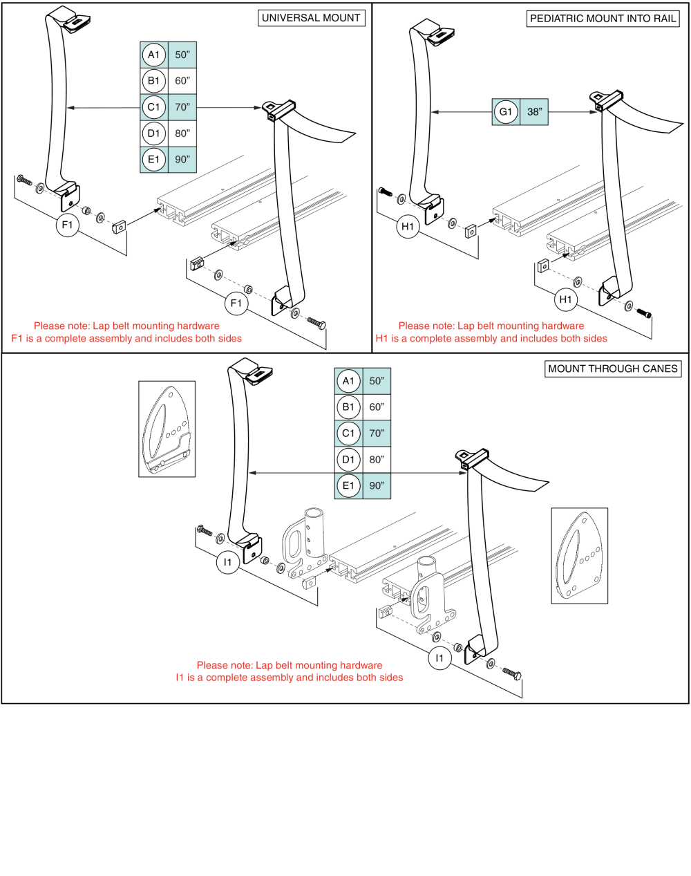 Lap Belts, Adult And Pediatric parts diagram
