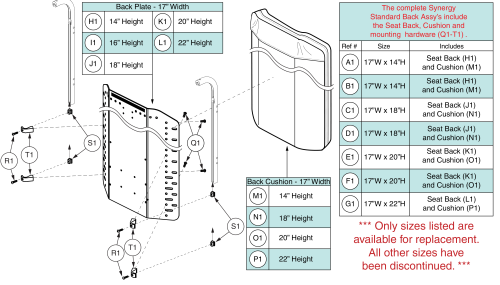 Standard Back - 17