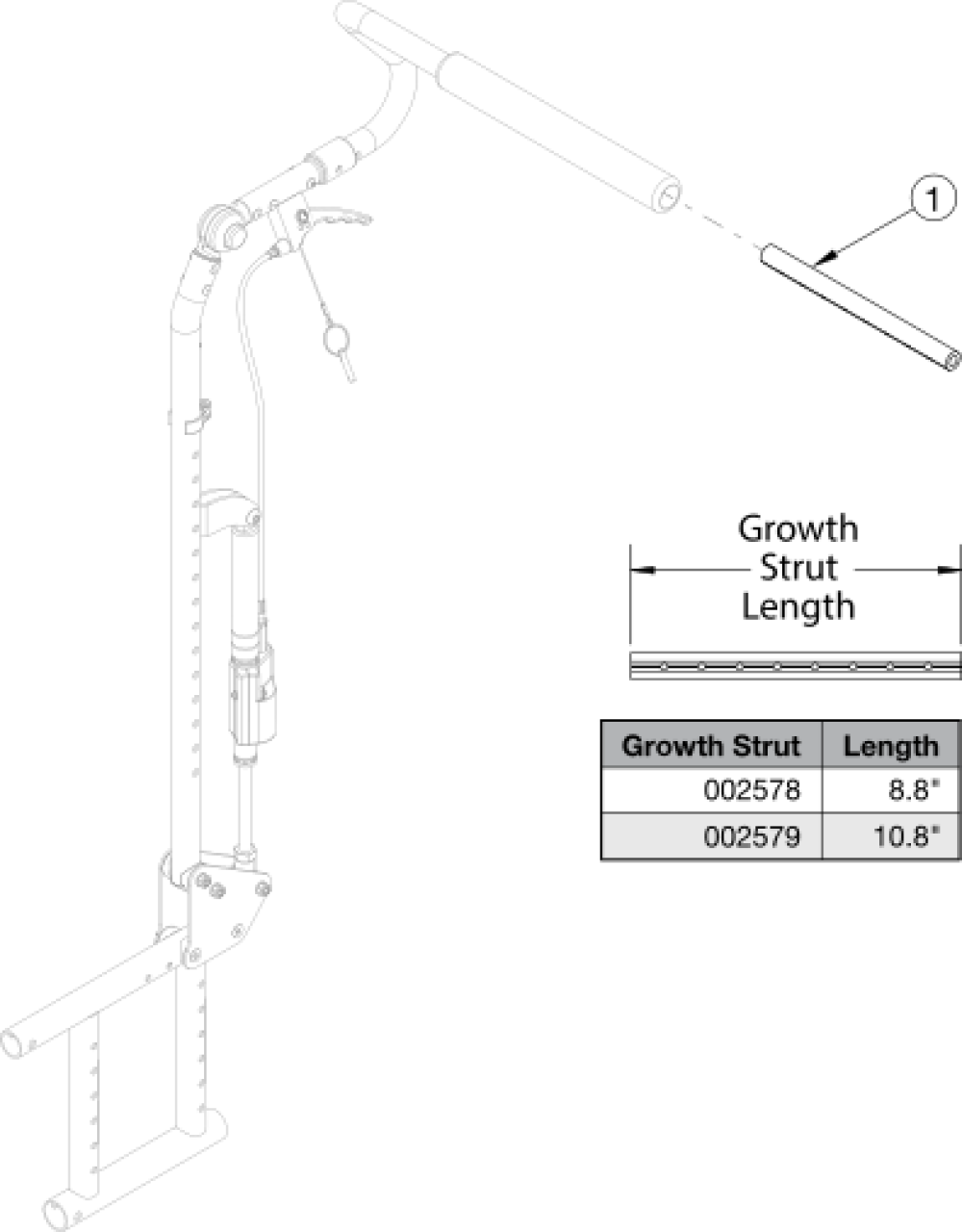 Growth Strut - Growth parts diagram
