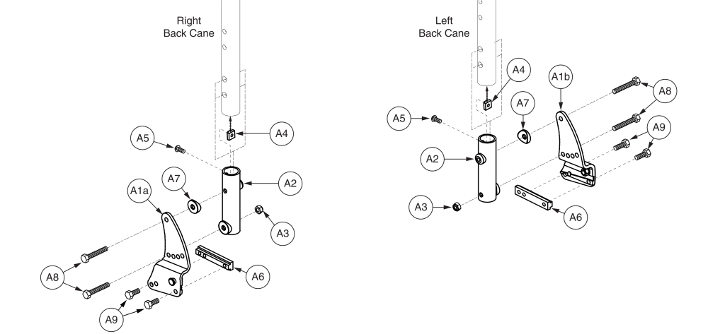 Endomorph Bracket - 1